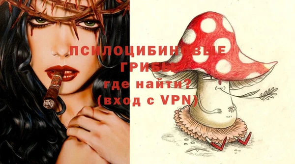 дурь Алзамай