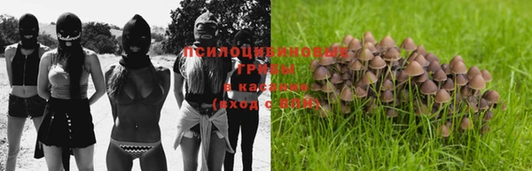 дурь Алзамай