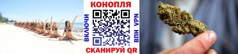 Шишки марихуана ГИДРОПОН  Александровское 
